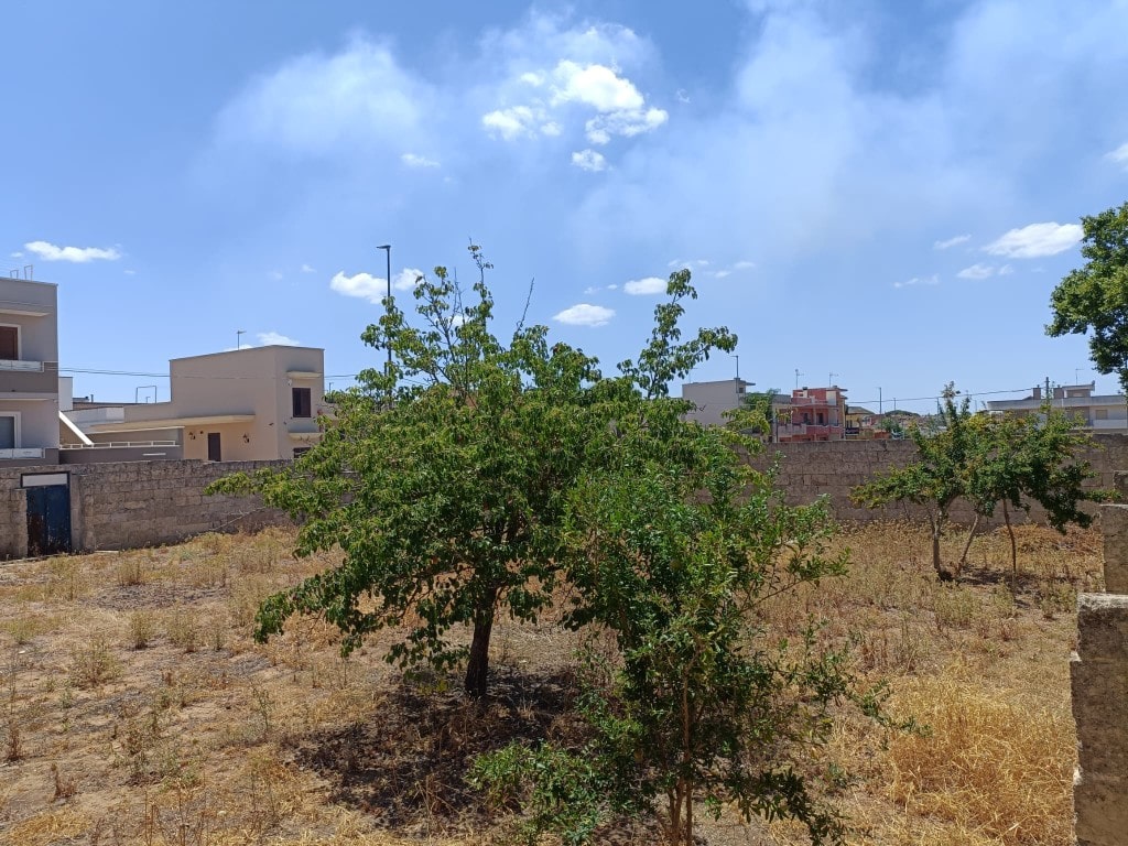 Giano Group Immobiliare